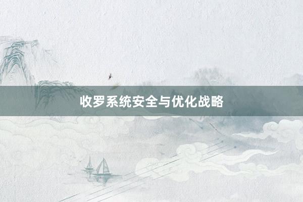 收罗系统安全与优化战略