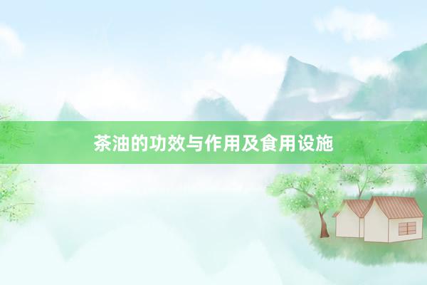 茶油的功效与作用及食用设施