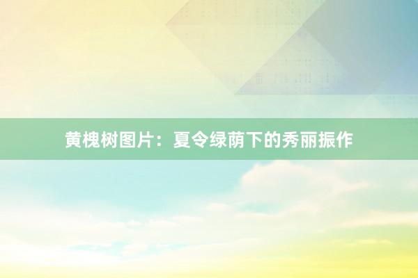 黄槐树图片：夏令绿荫下的秀丽振作